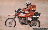 [Paris Dakar 1985] MORINI 500